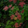D700 White Balance & Exposure Tests